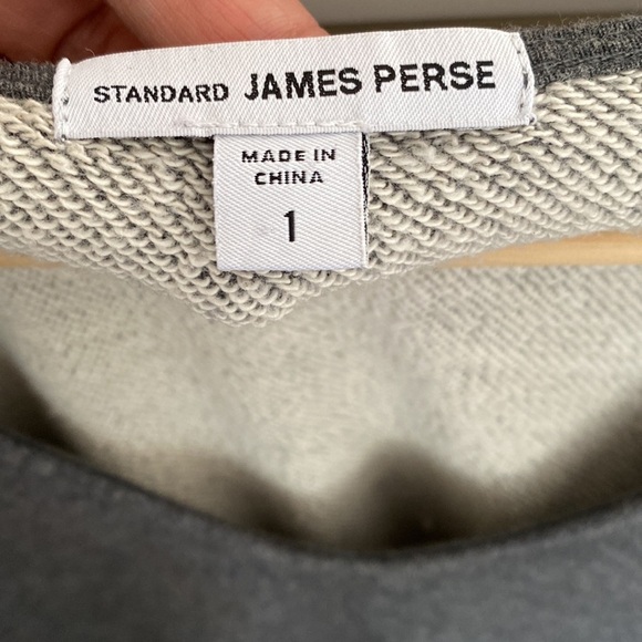 JAMES PERSE Gray Brushed Fleece Long Sleeve Dolman Dress Size 1 - Picture 10 of 17